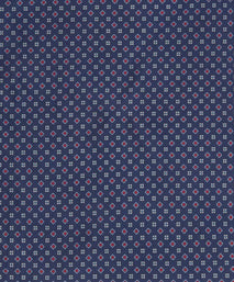 Blue & Red Small Biscuit Motif Silk Printed Pocket Square